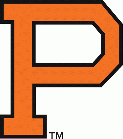 Princeton Tigers 1904-1964 Primary Logo DIY iron on transfer (heat transfer)
